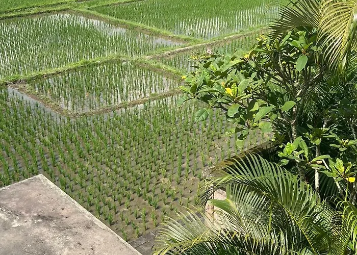 Heaven Villa Ubud