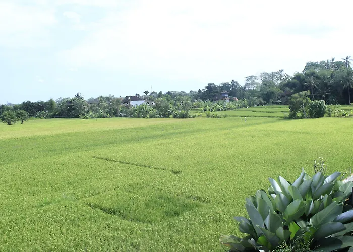 Villa Heaven Ubud
